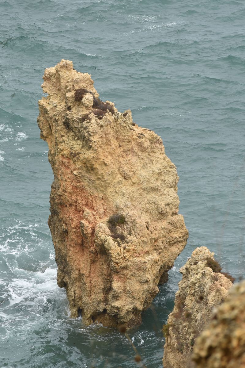 pt_202409_0010.jpg